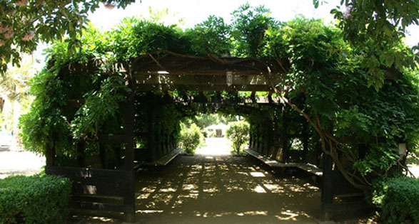 fullerton-arboretum-6