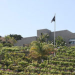 newport-beach-winery-5